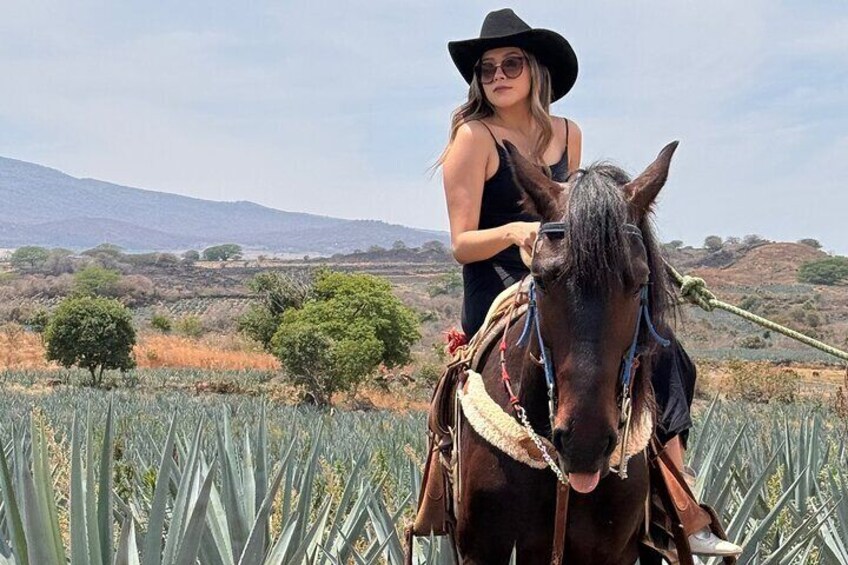 Full Day in Tequila with Tasting and party in Cantaritos