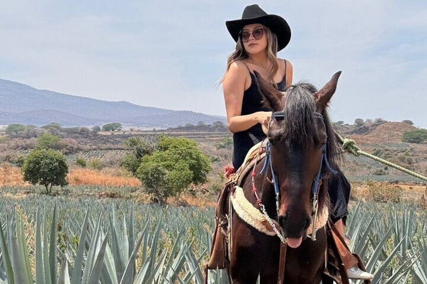 Full Day in Tequila with Tasting and party in Cantaritos