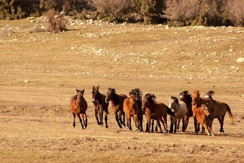 Private Tour in Ormana & Altınbeşik Cave with Lunch
