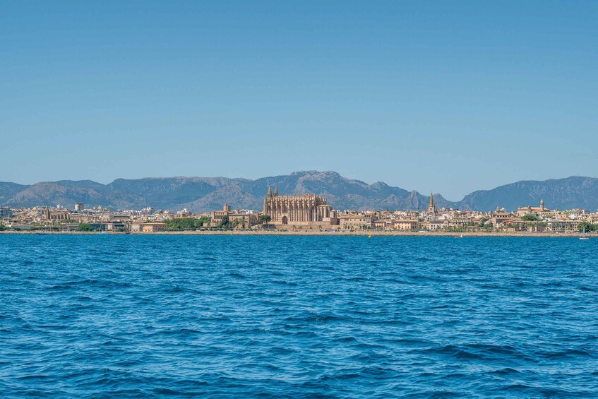 Picture 3 for Activity Palma de Mallorca: 5-Hour Catamaran Cruise with Lunch & Swim