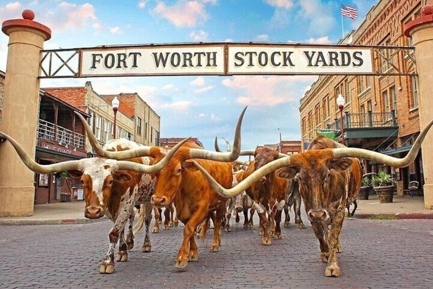 Fort Worth Highlights & Southfork Ranch Combo Private Tour