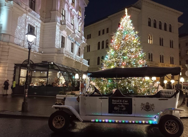 Picture 7 for Activity Vienna: Private Electric-Oldtimer Sightseeing Tour