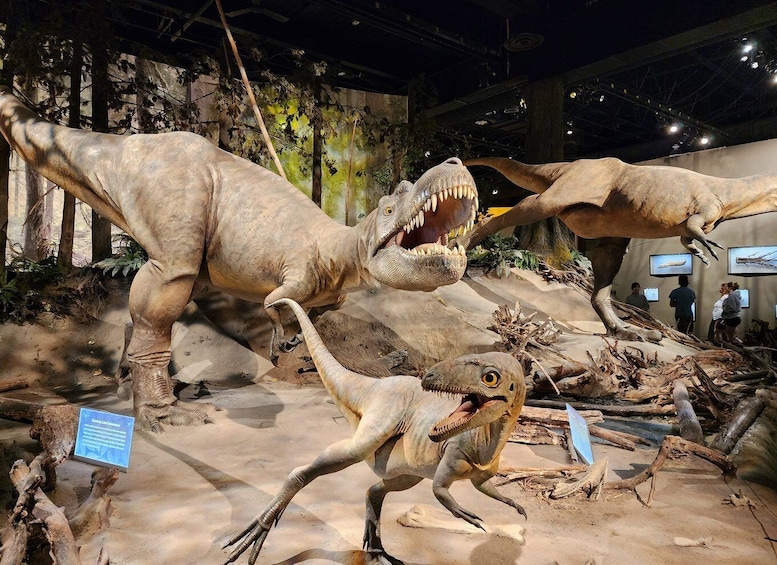 Picture 1 for Activity Canadian Badlands Private Tour