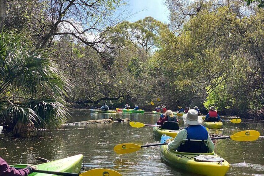 Kayaking