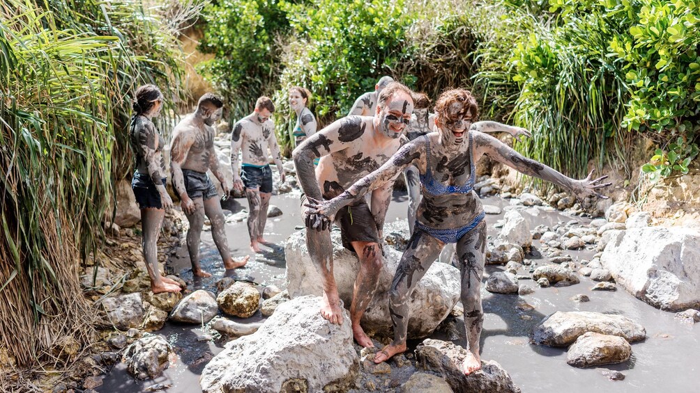 Group enjoying the Volcano & The Mud Baths tour in St. Lucia