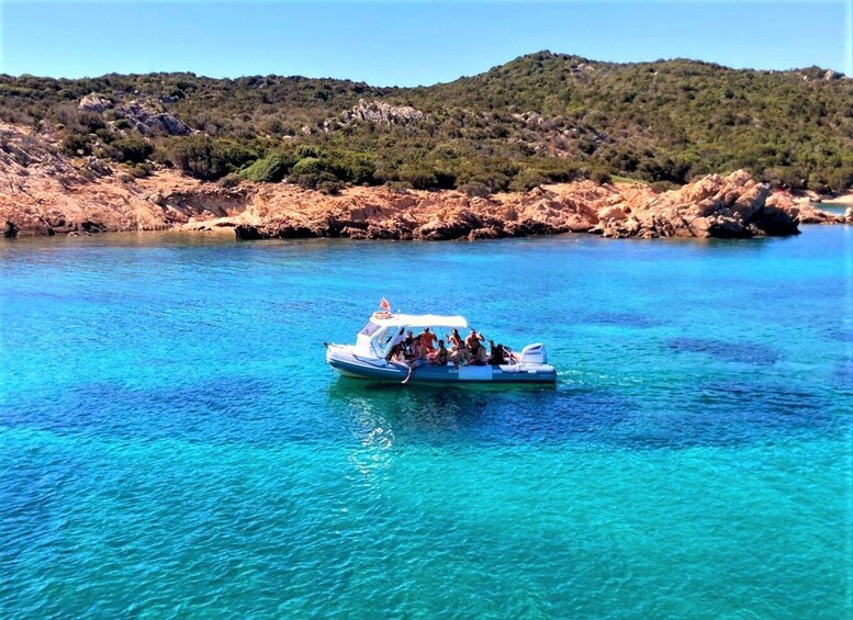 Picture 9 for Activity Olbia: Dolphin Watching Tour with Figarolo Island Snorkeling