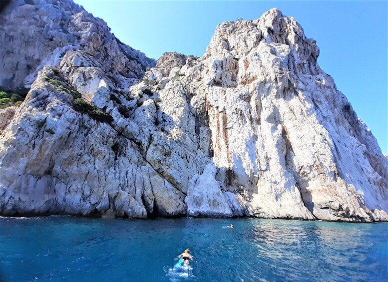 Picture 8 for Activity Olbia: Dolphin Watching Tour with Figarolo Island Snorkeling