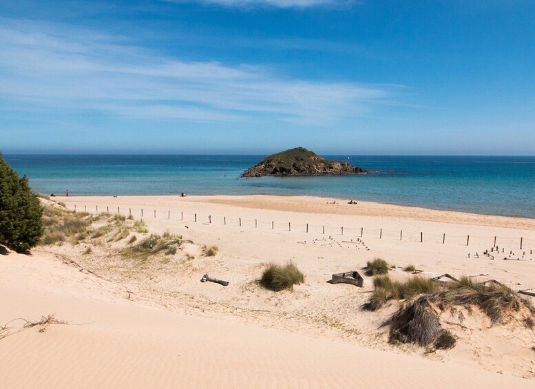 Picture 13 for Activity From Cagliari: 4x4 Beaches & Mountains Tour of Chia