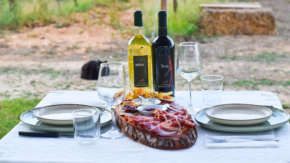 Picture 7 for Activity Alghero: wine tasting w/ local aperitif in the vineyard