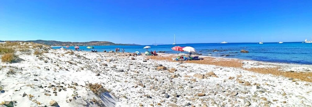 Picture 25 for Activity From Orosei: 4x4 private tour to Biderosa and Capo Comino