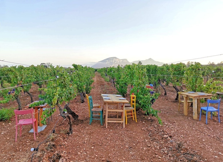 Picture 2 for Activity 4x4 private tour in Orosei w/ vineyard & nuraghe visit