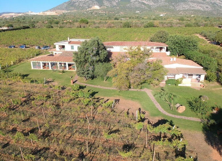 Picture 8 for Activity 4x4 private tour in Orosei w/ vineyard & nuraghe visit