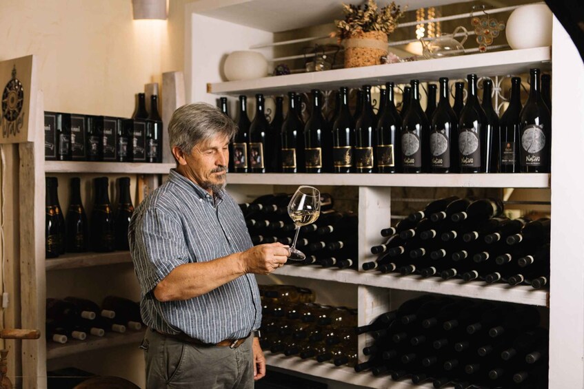 Picture 4 for Activity Olbia: Gallura Winery Guided Tour with Tasting