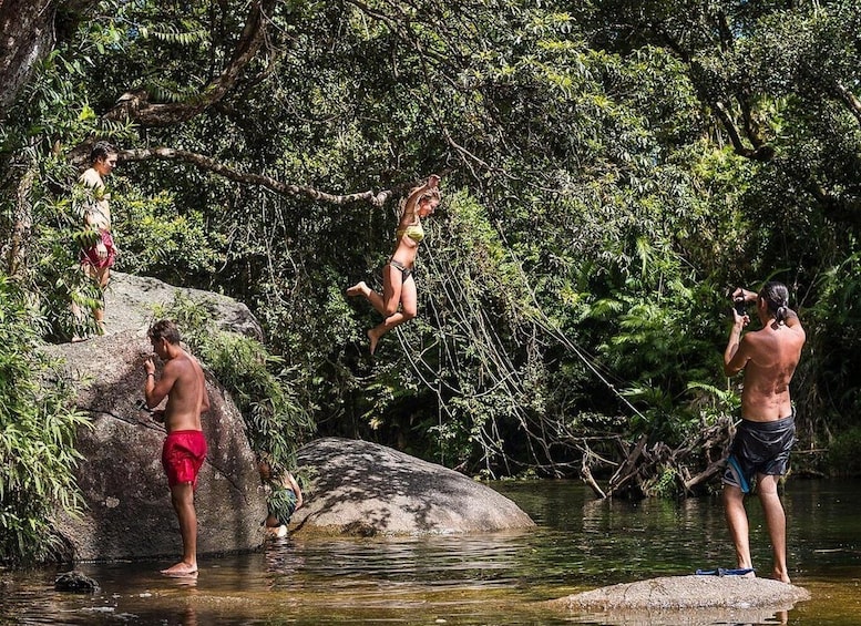 Picture 5 for Activity Atherton Tablelands: Lakes, Waterfalls, Rainforest Day Tour