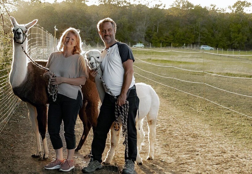 Picture 2 for Activity Mödling/Vienna: Scenic Guided Hike with Alpacas and Llamas