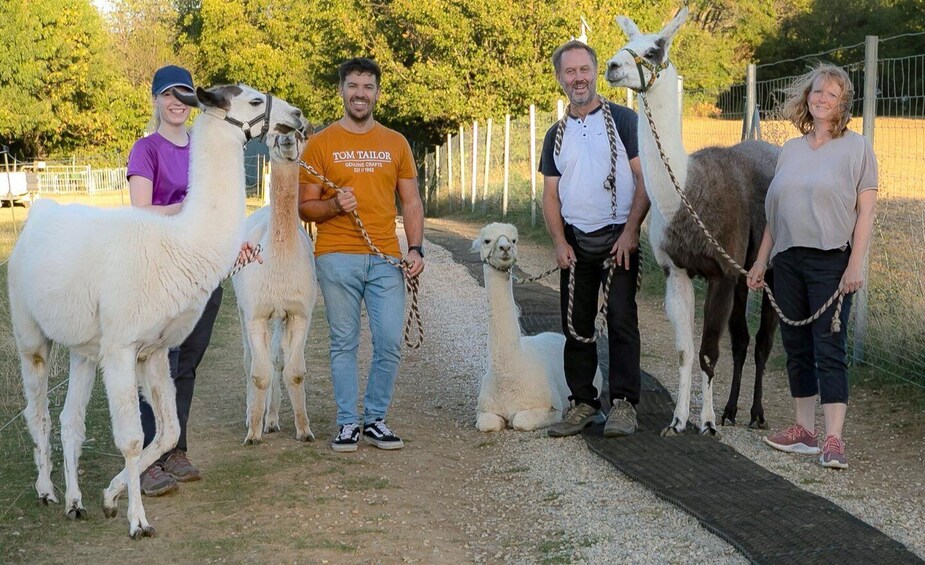 Picture 5 for Activity Mödling/Vienna: Scenic Guided Hike with Alpacas and Llamas
