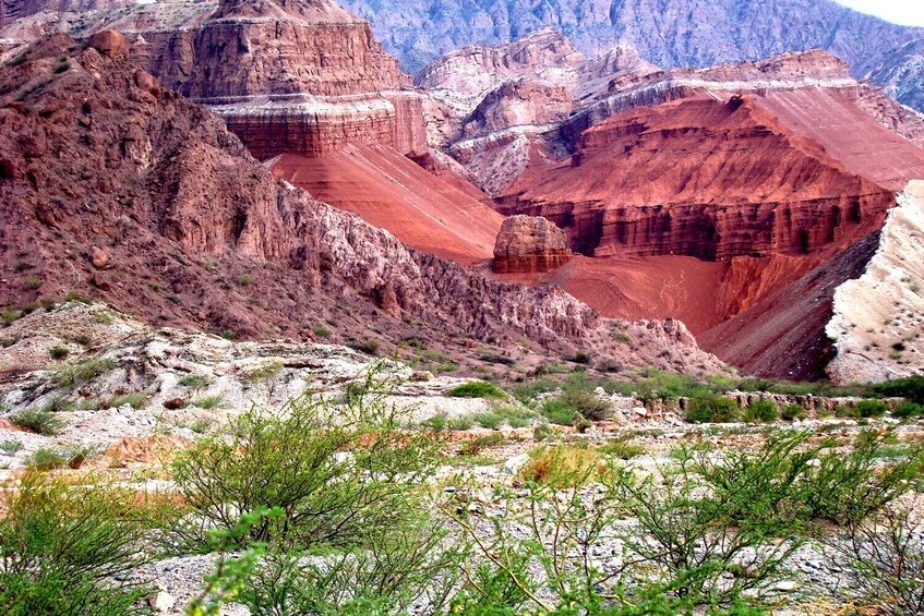 Cafayate + Cachi + Salinas Grandes +  Transfer in/out  