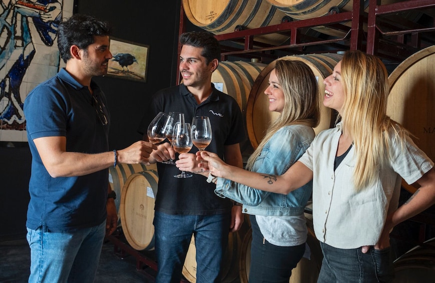 Spanish Traditional Villages & Wineries from Madrid