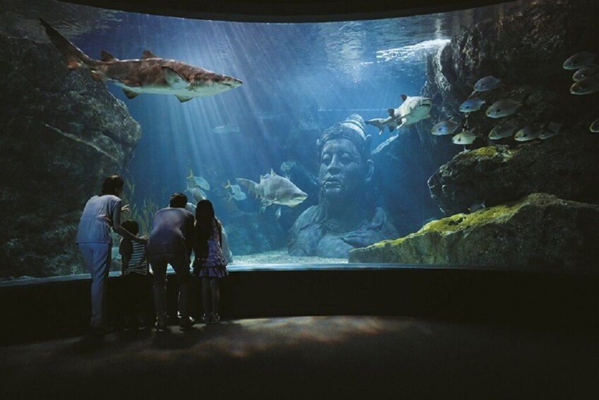 SeaLife Bangkok Entry Ticket