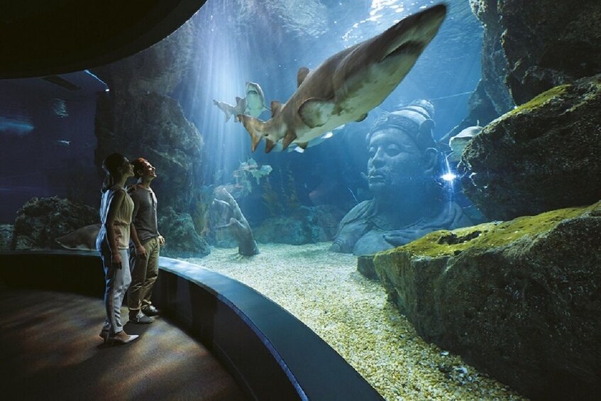 SeaLife Bangkok Entry Ticket