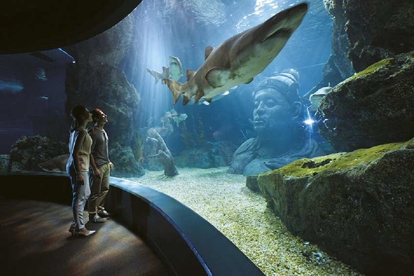 SeaLife Bangkok Entry Ticket