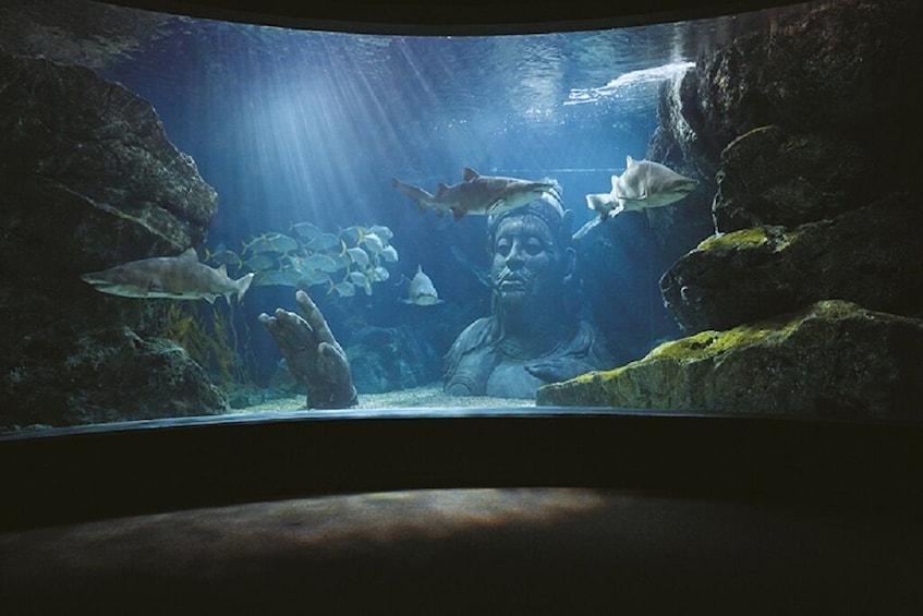 SeaLife Bangkok Entry Ticket