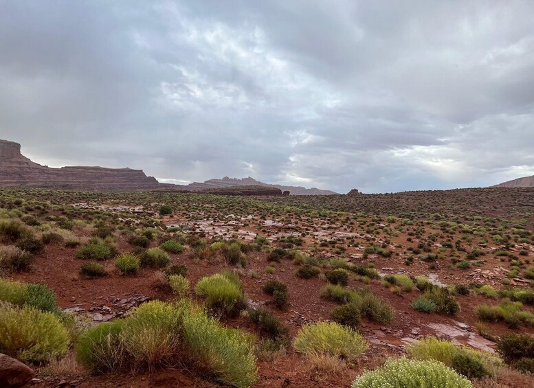 Picture 8 for Activity Moab: 3-Hour Scenic 4x4 Off-Road Adventure