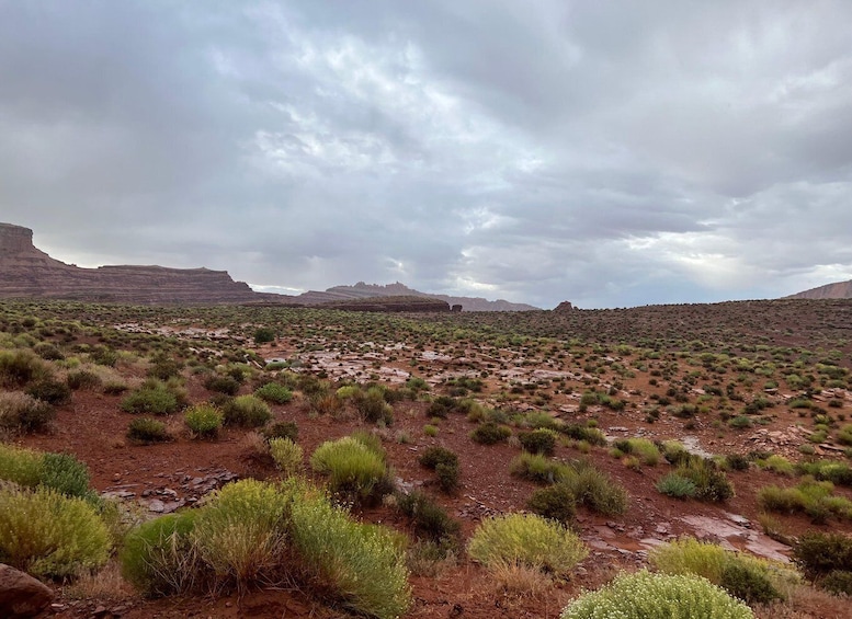 Picture 8 for Activity Moab: 3-Hour Scenic 4x4 Off-Road Adventure