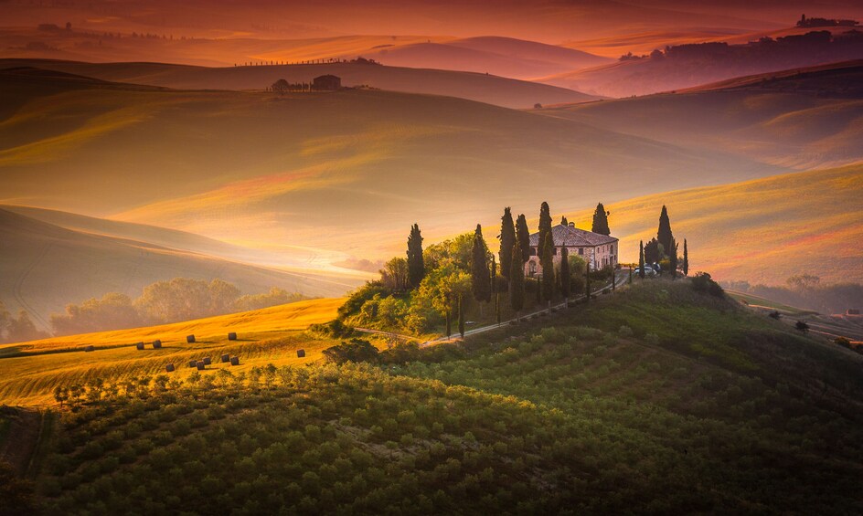 Medieval Tuscany Experience: Monteriggioni and Val d'Orcia from Florence