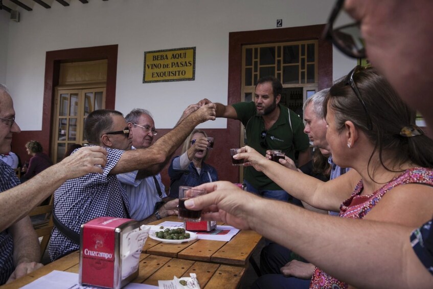 Wine Lover's Experience in Andalusia