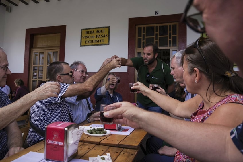 Wine Lover's Experience in Andalusia