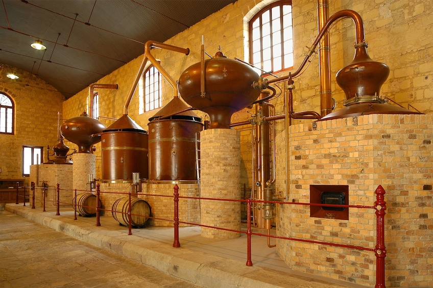 Wine Lover's Experience in Andalusia
