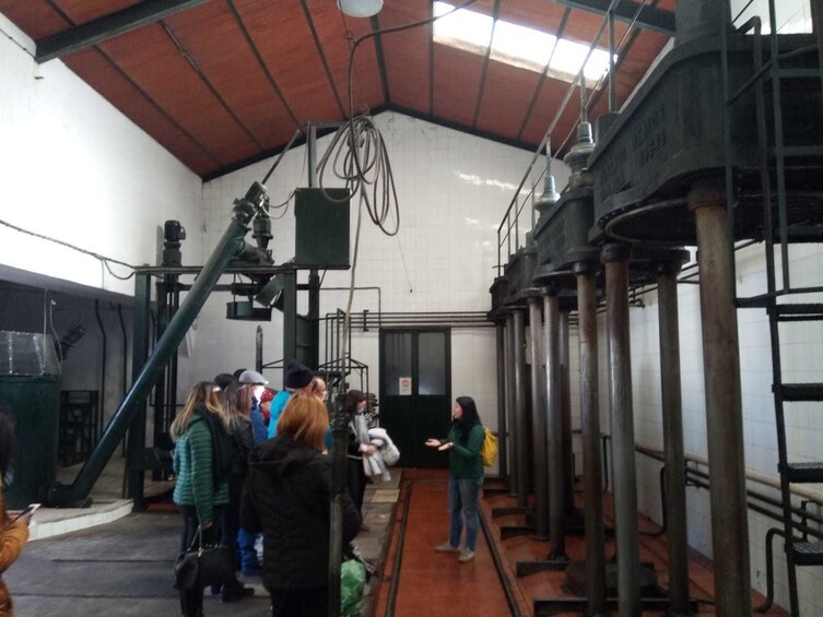 Wine Lover's Experience in Andalusia