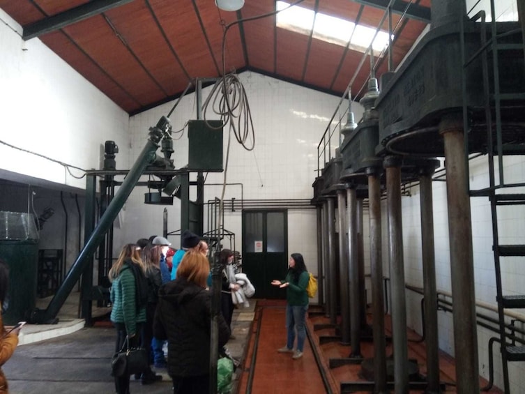 Wine Lover's Experience in Andalusia