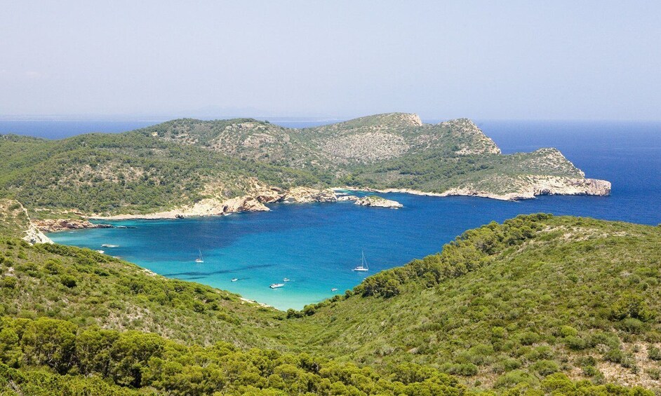 Picture 1 for Activity Colonia Sant Jordi: Classic & Express Boat Tour to Cabrera
