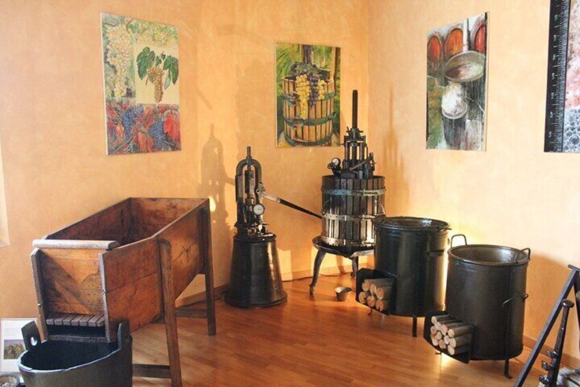 Vinegar Tour and Tasting with a Local in Modena