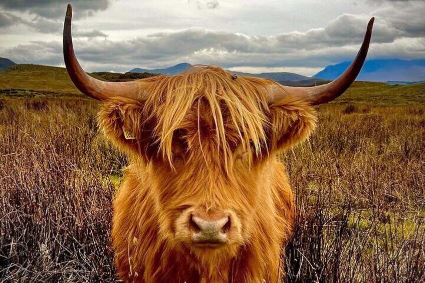 Off The Beaten Track Isle of Skye Adventure -1 Day Private Tour