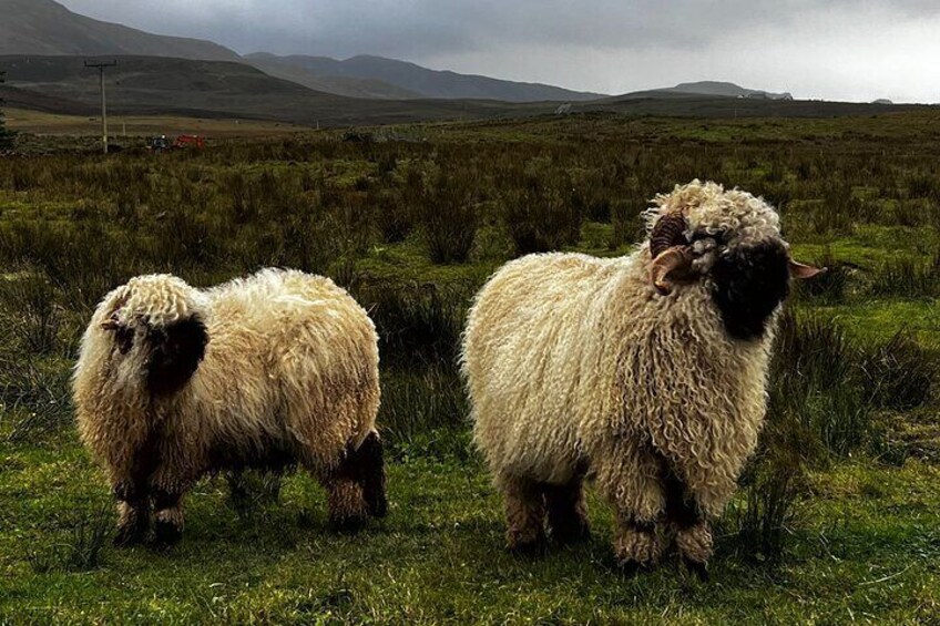 Off The Beaten Track Isle of Skye Adventure -1 Day Private Tour