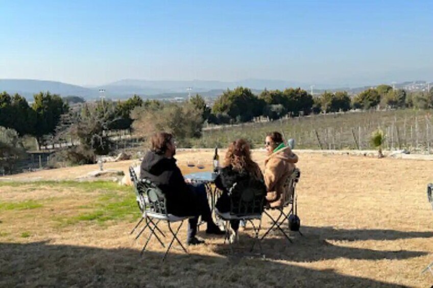 Wine Tasting Tour at Two Wineries in Urla Turkey
