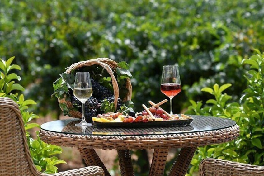 Wine Tasting Tour at Two Wineries in Urla Turkey