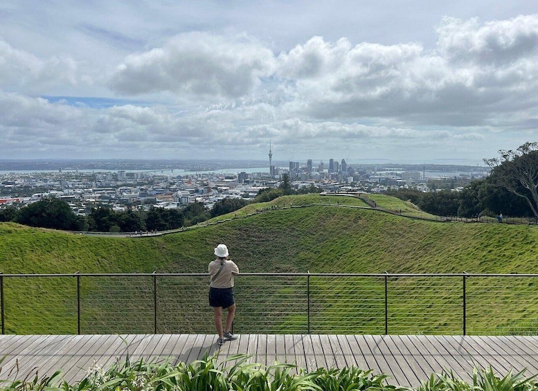 Auckland: Half-Day Auckland Volcanoes Tour