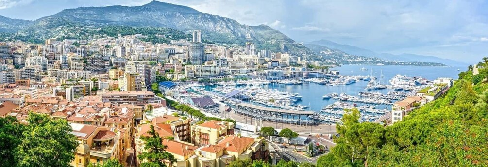 Picture 19 for Activity Nice/Cannes: Monaco, Monte-Carlo & Eze Village Private Tour