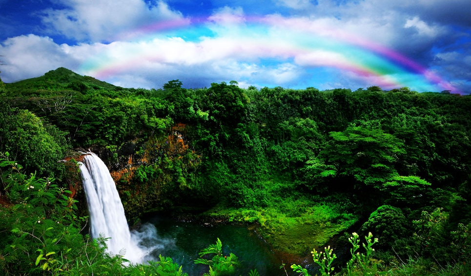 Hawaii Movie Tour - Kauai