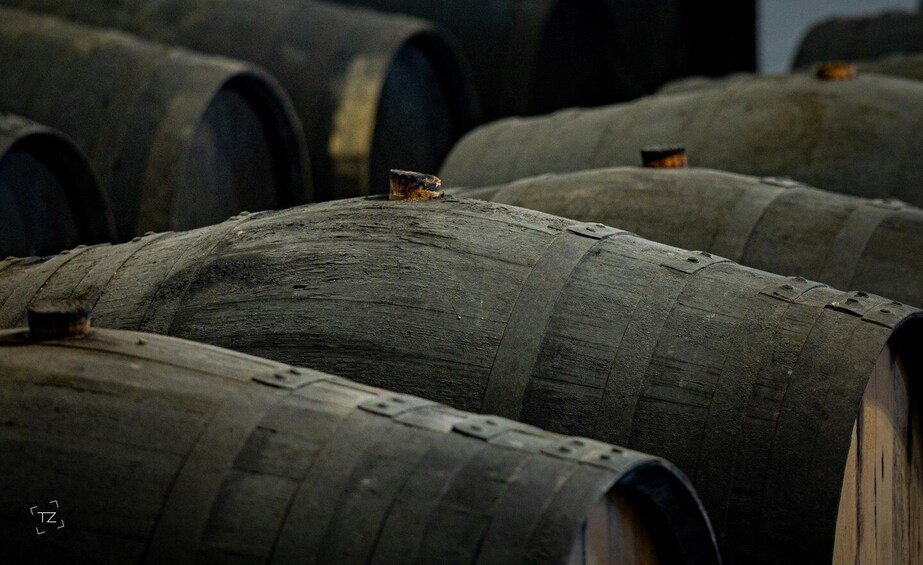 Picture 11 for Activity Jerez: Bodegas Álvaro Domecq Guided Tour with Wine Tasting