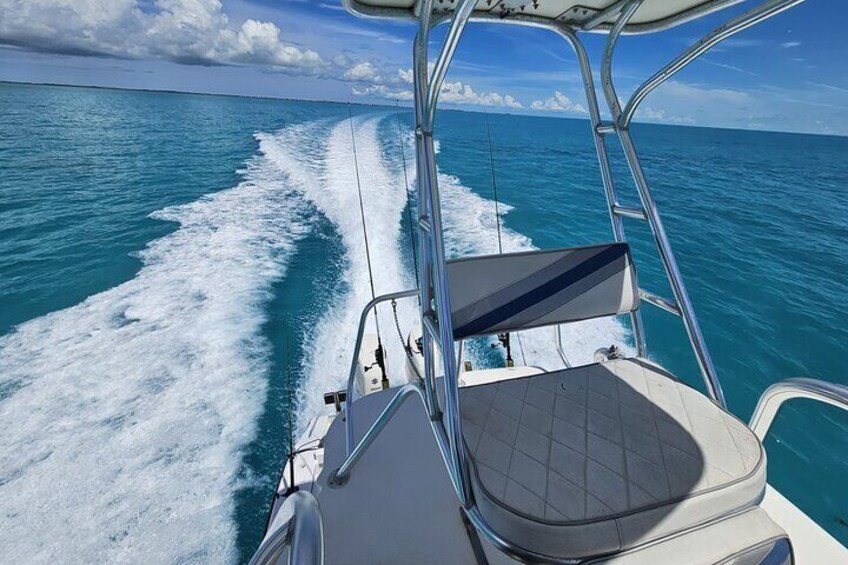 Half Day Bottom Fishing Private Charter