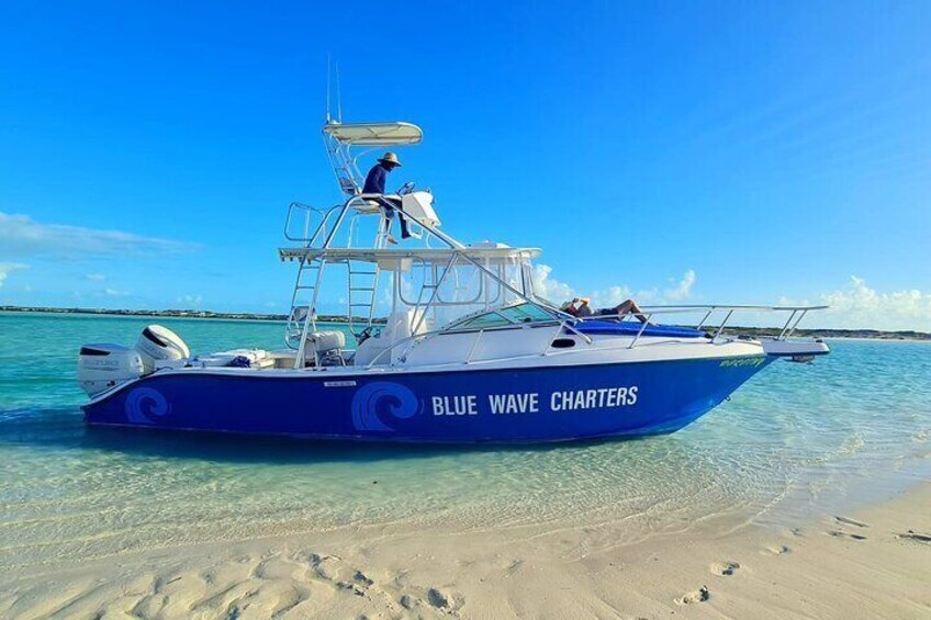 Half Day Bottom Fishing Private Charter