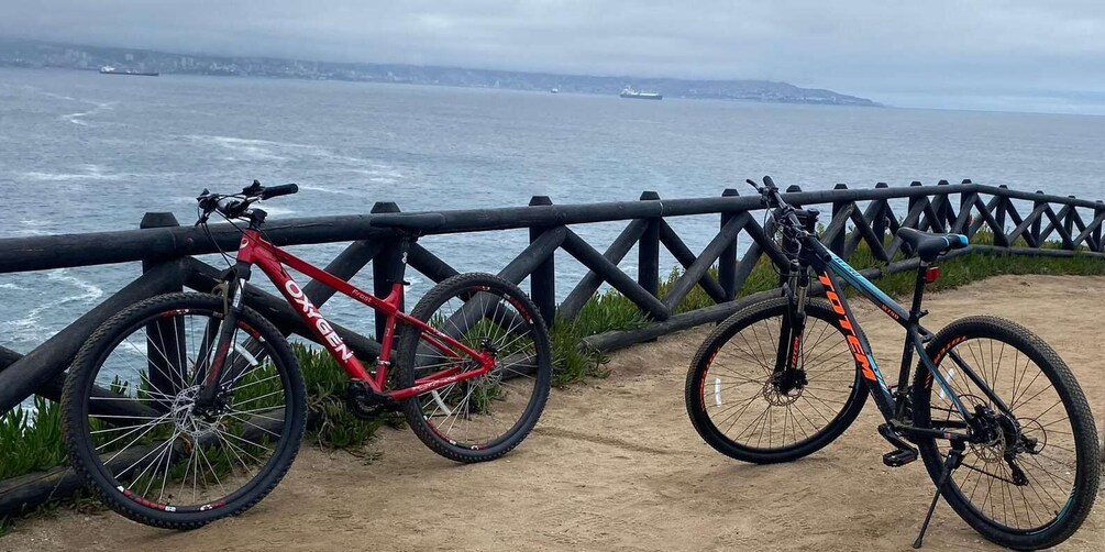 Picture 3 for Activity Viña del Mar: Coastal Bike Tour