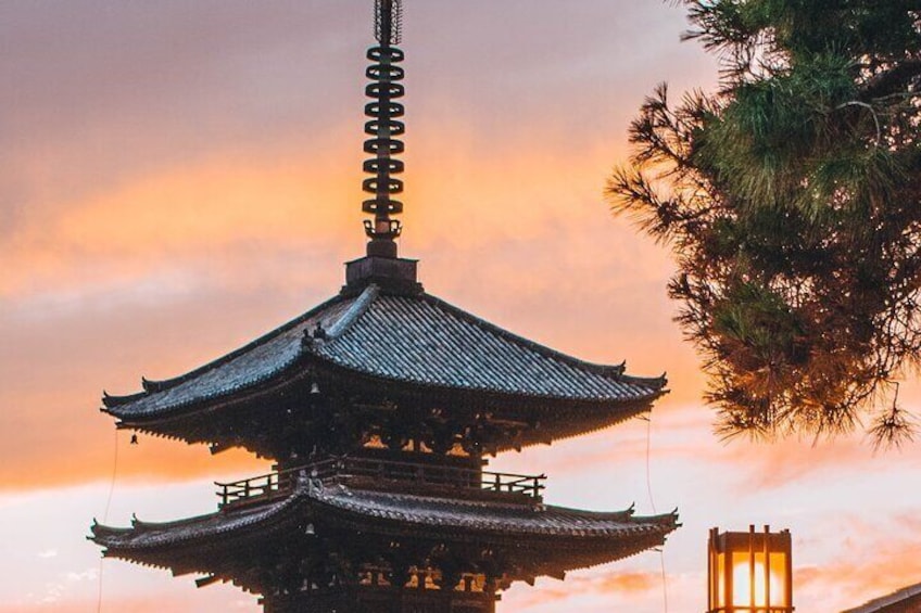 3 Hour Night Walking Tour Throughout Gion in a Small Group