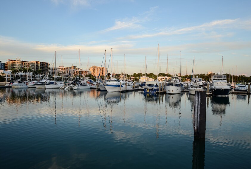 Darwin Hop-On Hop-Off Bus Tour