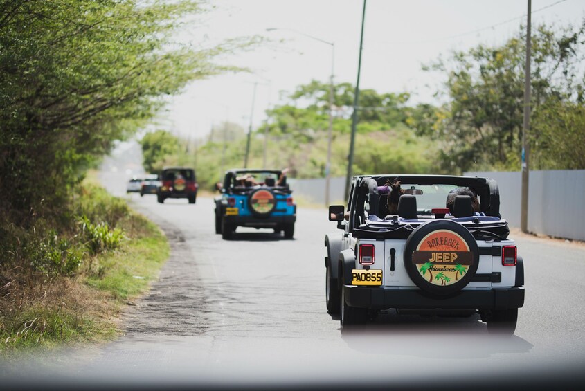 Grenada Historical Jeep, Rainforest and Waterfall Experience